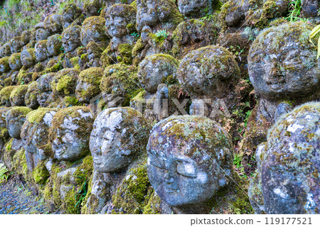 The expressive arhat at Otagi Nenbutsu-ji Temple in Ukyo Ward, Kyoto City The expressive arhat at Otagi Nenbutsu-ji Temple in Ukyo Ward, Kyoto City 119177521