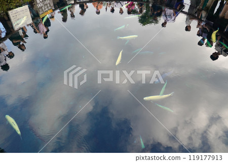 Oshino Hakkai Oshino Hakkai 119177913