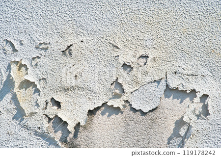 去皮白漆（混凝土牆） 119178242