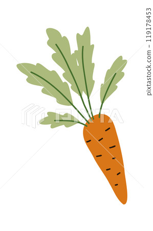 Fresh carrot with green tops. Cartoon flat whole fresh vegetable. Vector illustration in flat style Fresh carrot with green tops. Cartoon flat whole fresh vegetable. Vector illustration in flat style 119178453