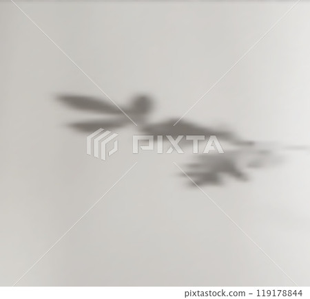 Leaves shadow overlay effect. Window soft light realistic mockup. Vector grey room backdrop Leaves shadow overlay effect. Window soft light realistic mockup. Vector grey room backdrop 119178844