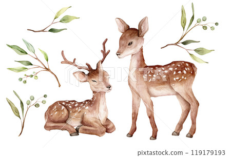 Watercolor set of deer and green eucalyptus leaves and green berry. Spotted deer isolated on white background. Hand drawn illustration wild animal. Watercolor set of deer and green eucalyptus leaves and green berry. Spotted deer isolated on white background. Hand drawn illustration wild animal. 119179193
