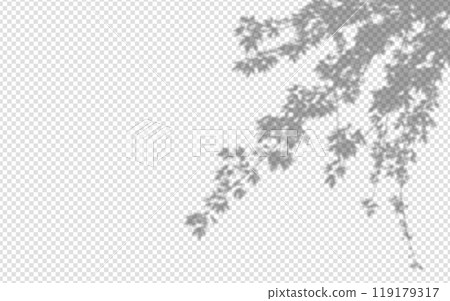 Shadow overlay from a maple tree branch isolated on a transparent background. Shadow overlay from a maple tree branch isolated on a transparent background. 119179317
