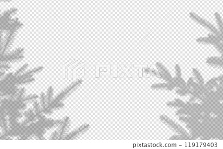 Shadow overlay from a pine tree isolated on a transparent background. 119179403