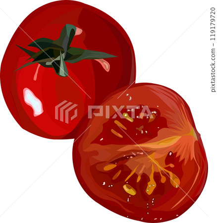 whole tomato with a slice of tomato. tomato with seeds, red tomato 119179720