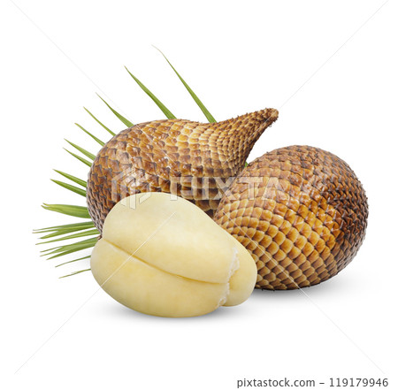 Salacca or zalacca fruit with leaves isolated on white background 119179946