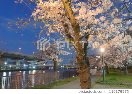 毛馬櫻之宮公園 夜櫻花 119179975