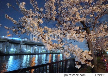Cherry blossoms at night at Kemasakuranomiya Park 119179993