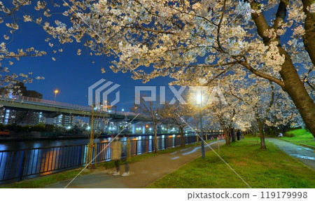 Cherry blossoms at night at Kemasakuranomiya Park 119179998