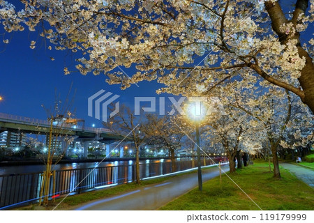 Cherry blossoms at night at Kemasakuranomiya Park 119179999