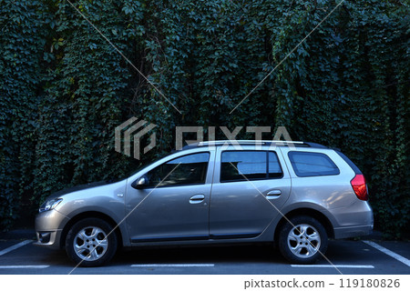 Metallized chrome grey car parking near green ivy wall Metallized chrome grey car parking near green ivy wall 119180826