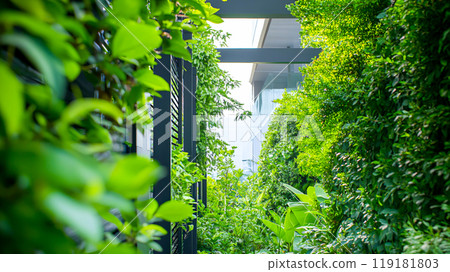 Modern Urban Gardening with Lush Greenery 119181803