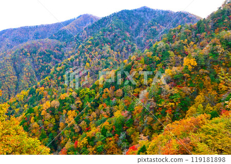 從圓山林道看到的山面秋葉 119181898