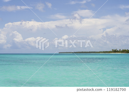 Amazing landscape of Saona island in Dominican Republic Amazing landscape of Saona island in Dominican Republic 119182700
