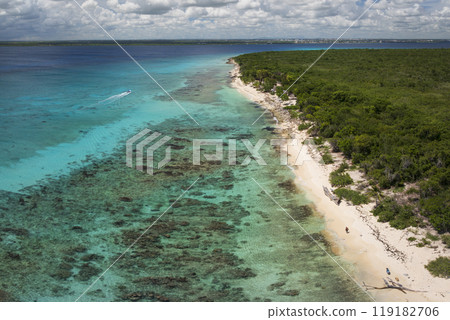 Catalina beach at sunny day and crystal clear sea 119182706