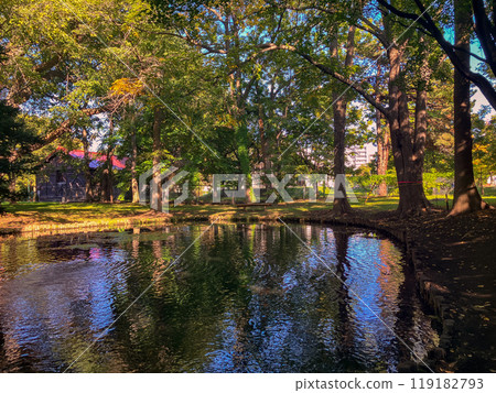 北海道大學農學部第二農場池塘 2024 年 9 月 119182793