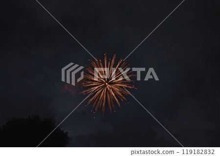 Nakanocho Fireworks Festival in Hamamatsu City as seen from the Tenryu River riverbed (Shizuoka Prefecture) 119182832