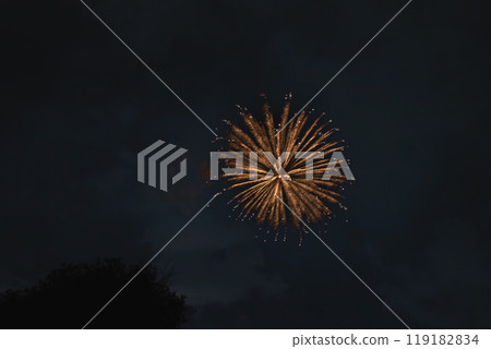 Nakanocho Fireworks Festival in Hamamatsu City as seen from the Tenryu River riverbed (Shizuoka Prefecture) 119182834