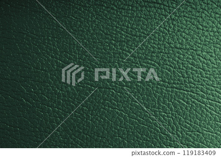 Natural, genuine green leather with metallic effect, texture of glossy leatherette background Natural, genuine green leather with metallic effect, texture of glossy leatherette background 119183409