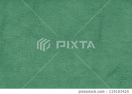 Natural, genuine green leather texture, structure of matte leatherette macro background Natural, genuine green leather texture, structure of matte leatherette macro background 119183420