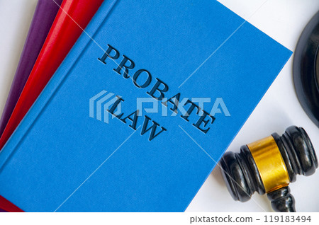 Top view of Probate Law on blue book with gavel on white background Top view of Probate Law on blue book with gavel on white background 119183494