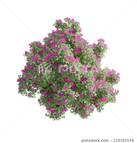 tree top view plant landscape architecture nature garden aerial render. trees branch isolate collection illustration environment green botany urban bush park. tree architecture conifer decorative. 119183559