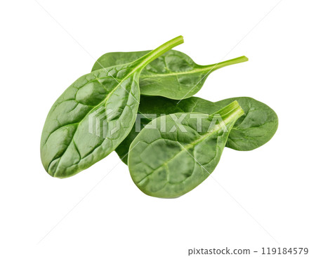 Fresh spinach leaves arranged on a white background highlighting their vibrant green color 119184579