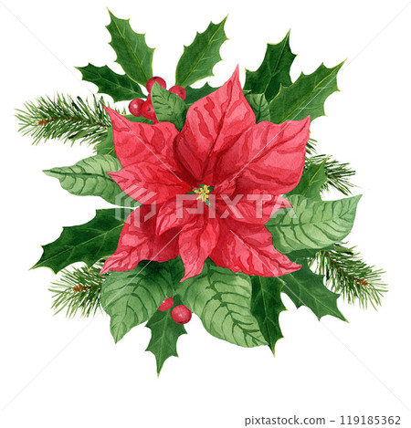 Composition with holly and poinsettia, watercolor Christmas bouquet. Hand-painted watercolor element for New year invitations, or greeting cards 119185362