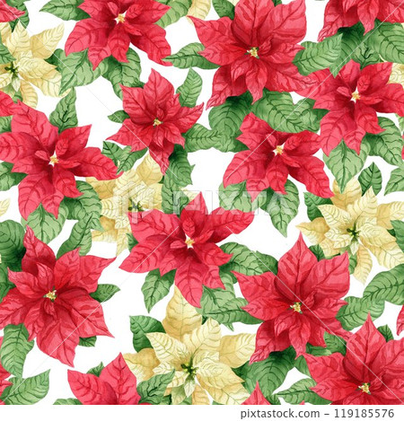 Seamless watercolor pattern with hand drawn watercolor white and red poinsettia. Illustration on white background. For wrapping paper, textile, fabric 119185576