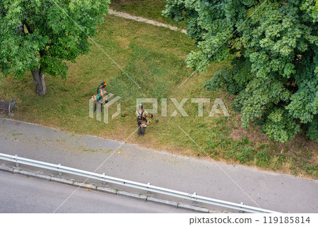 team of workers mow the grass with brushcutters, top view 119185814