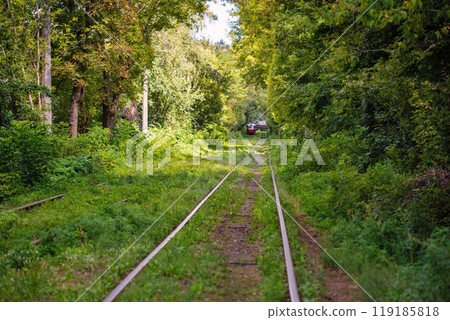 Long tram tracks running through the forest. 119185818