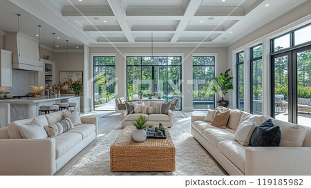 Luxury real estate agent hosting an open house 119185982