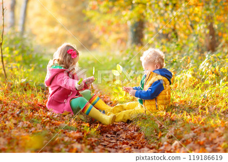 Kids playing in autumn park Kids playing in autumn park 119186619