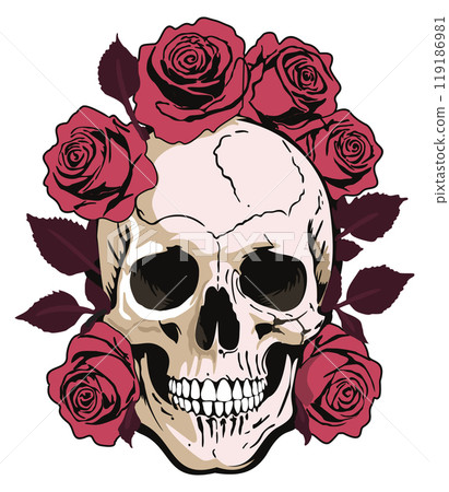 Human skull with pink roses around. Day of the Dead. Vector isolated illustration Human skull with pink roses around. Day of the Dead. Vector isolated illustration 119186981