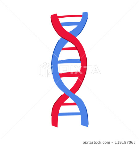 chromosomes dna spiral cartoon vector illustration 119187065