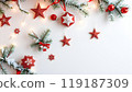 fir branches and fir branches on white background 119187309