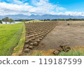 Natural turf construction 119187599