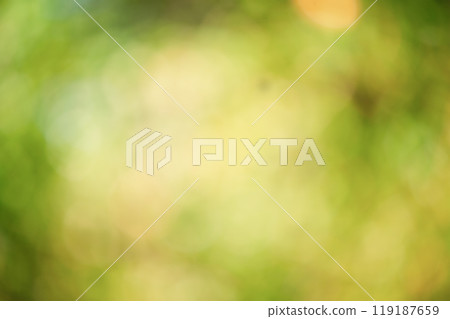 Defocus light natural background. The blurred leaves of the trees are green and yellow. Bokeh Defocus light natural background. The blurred leaves of the trees are green and yellow. Bokeh 119187659