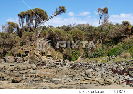Low tide - Marengo 119187803