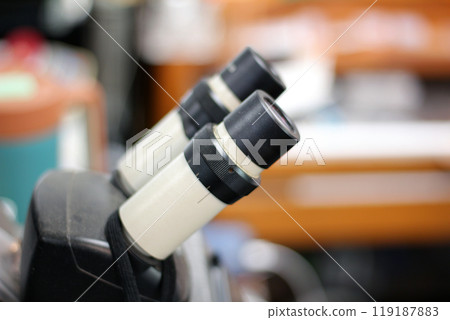 Gyeongsangnam-do, Jinju-si, Republic of Korea, October 11, 2024: Mr. Kim Myeong-su, the CEO of Jeonggeumgil Metalworking, is a person who lends gold to film companies. 119187883