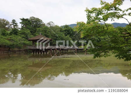 The quietly standing Ukimido The quietly standing Ukimido 119188004