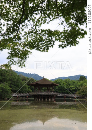 The quietly standing Ukimido 119188005