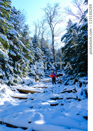 Tateshina山的雪（垂直） 119188269