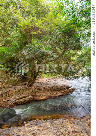 Prenn waterfall. Beautiful Prenn waterfall in Vietnam Prenn waterfall. Beautiful Prenn waterfall in Vietnam 119188347