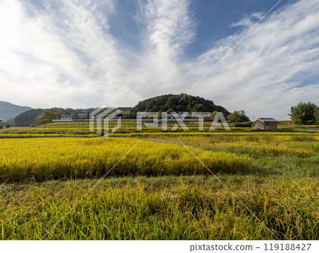 飛鳥村立花寺前的田園風光 飛鳥村立花寺前的田園風光 119188427