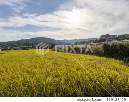 飛鳥村立花寺前的田園風光 飛鳥村立花寺前的田園風光 119188429