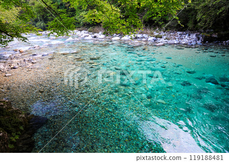 Tanukigafuchi and the forest stream Tanukigafuchi and the forest stream 119188481