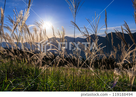 2024年秋季的索尼高原傍晚景色，此時蒲葦正值巔峰，夕陽照在山邊，蒲葦在陽光的照射下閃閃發光。 119188494