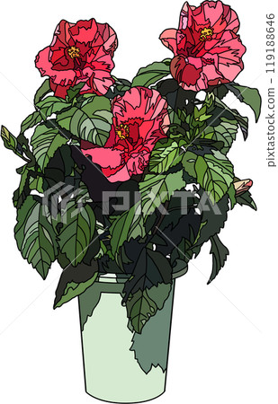 Flower pot illustration, transparent background Flower pot illustration, transparent background 119188646