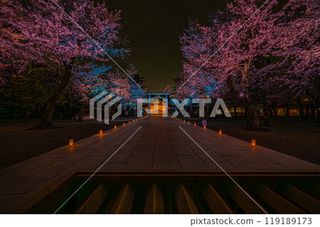 Night Cherry Blossom Pilgrimage (Yasukuni Shrine) 119189173